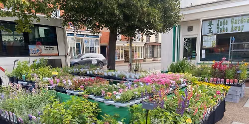 Pop Up Plant Stall