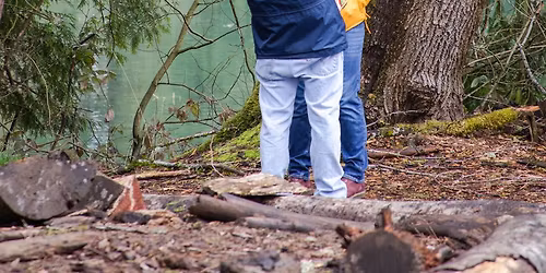 December Nature Day - Evergreen Tree Communities