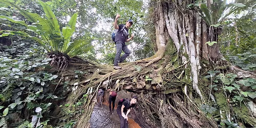 CNY Hike - Dover Forest, Clementi Forest, Tunnel, Bridge, Secret Farms, Durian Trees, Incense Pagoda