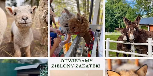 Otwieramy Zielony Zak\u0105tek!