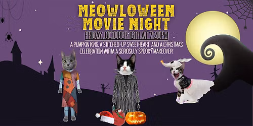 Halloween Movie Night at a Cat Cafe!