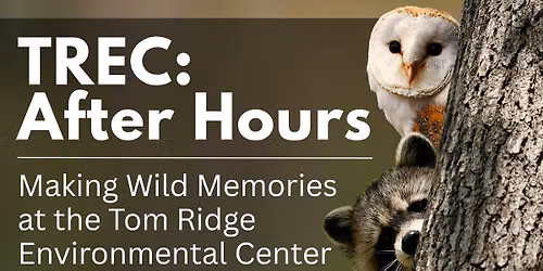 TREC:  After Hours