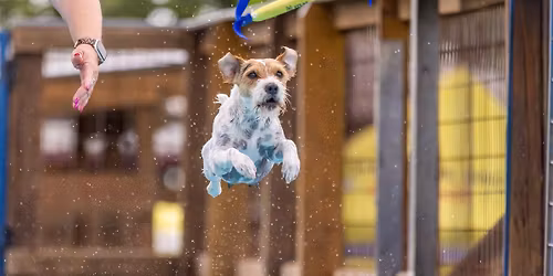 Jumping Into The Action Dock Diving Seminar!
