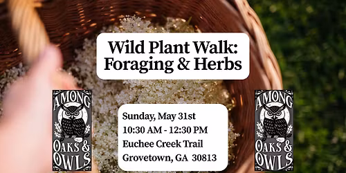 Wild Plant Walk