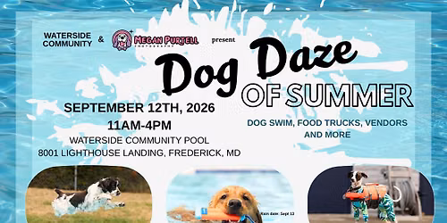 Dog Daze of Summer - Dog Swim