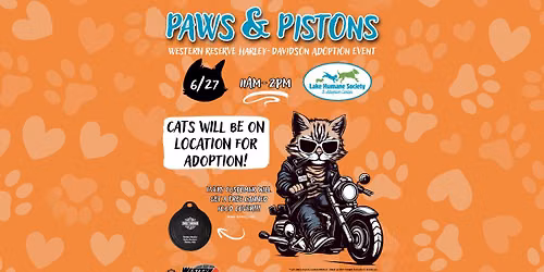 Paws & Pistons