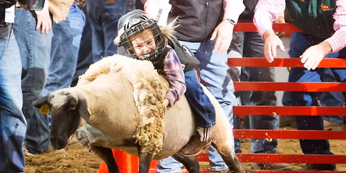 San Antonio Stock Show and Rodeo - Wildcard