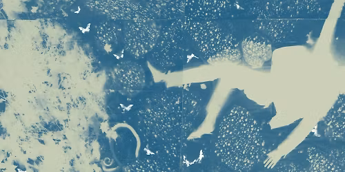 Iron &amp; Wine in Chicago