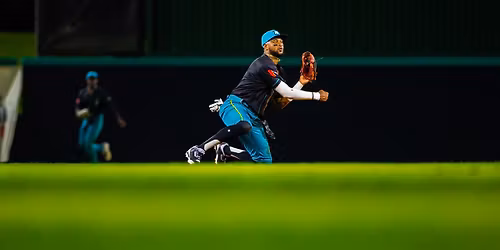 Evansville Otters at Mississippi Mud Monsters at Trustmark Park