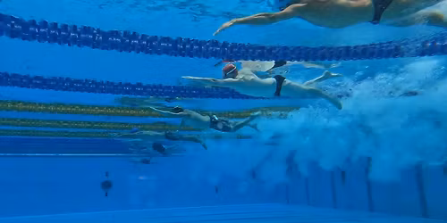 Port Macquarie BPS Meet