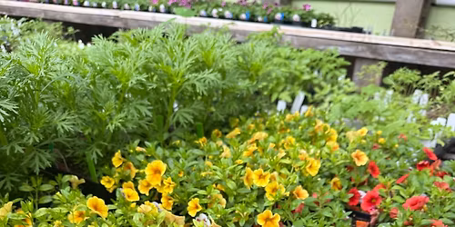 Vander Veer Plant Sale: Fri, Sat, Sun