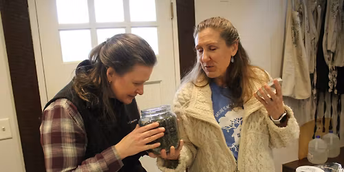 Women's Foraging & Herbal Self Care Mini Retreat