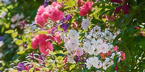 Design and Plant Your Own Garden - 2-Day Garden Design Course