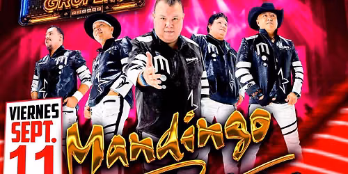 Mandingo, Los Creyentes y Maravilla