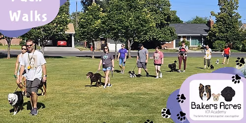 Pack Walk & Group Socialization Class | Bakers Acres K9 Academy