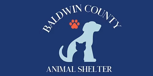 Rabies Clinic and Open for Adoption