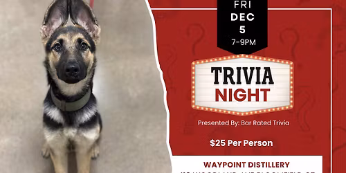 Trivia Night Fundraiser Benefitting Dog Star Rescue
