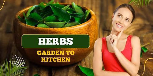 Herbs: From Garden to Kitchen