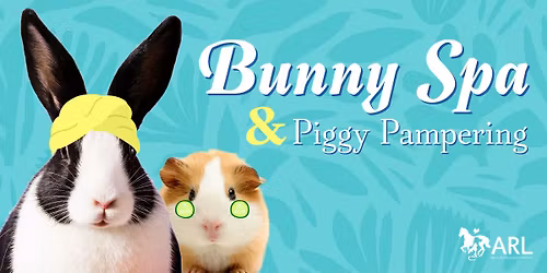 ARL Bunny Spa & Piggy Pampering