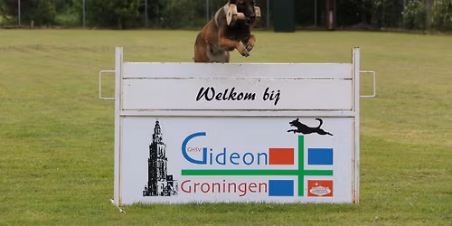 Gezellige, gezamenlijke IGP trainingsdag.