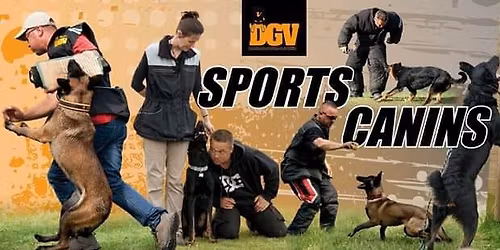 Stage Ob\u00e9issance avec Julien Ryckenbusch - reste 3 places