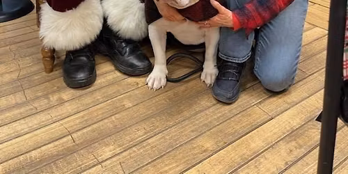 Santa & Mrs Claus at Snider's! 