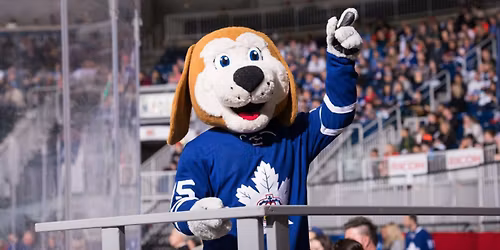 Manitoba Moose at Toronto Marlies at Coca-Cola Coliseum
