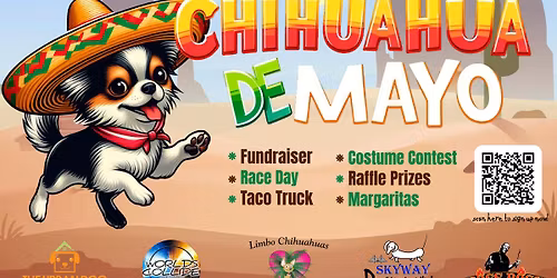 Chihuahua de Mayo