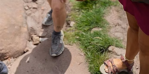 Wild Women Brunch Club: Foraging Hike Near York