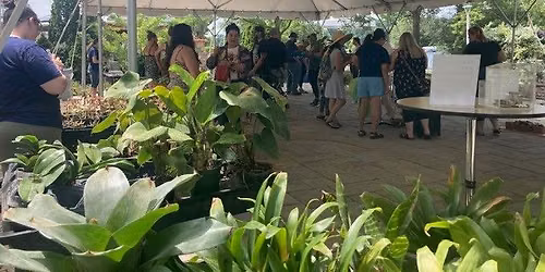 Sinnissippi Plant Swap