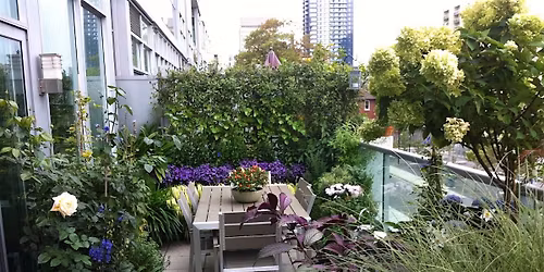 Sustainable Balcony Gardening