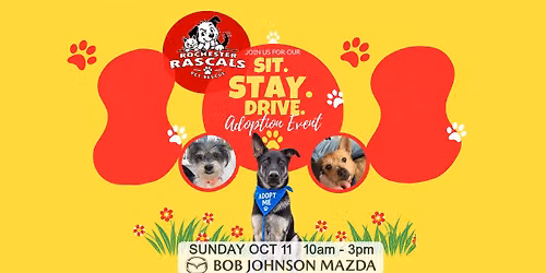 Sit. Stay. Drive. Dog Adoption Event