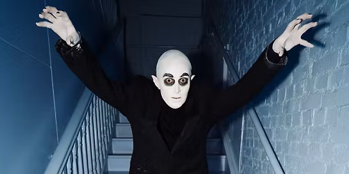 Nosferatu Looking For Love