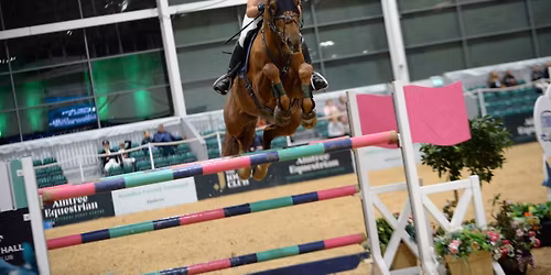 Morgan Shirley showjumping clinic - 70cm plus