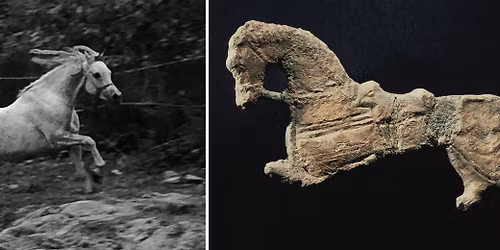Seminar: Horses, tack and movability