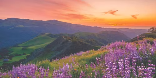 Weekend Reset Hike: Pinnacles