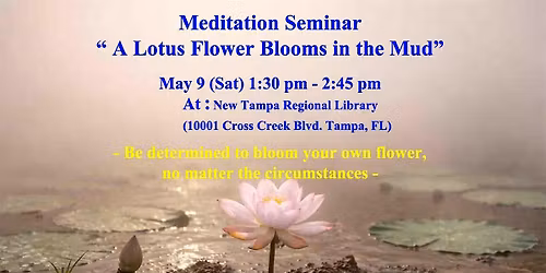 Meditation Seminar "A Lotus Flower Blooms in the Mud"