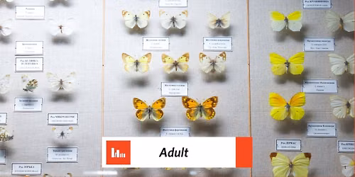 Art of the Insect: A Pinning Workshop