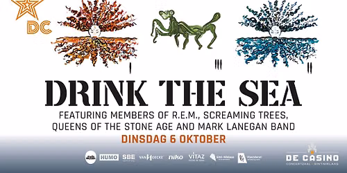 Drink The Sea in De Casino!