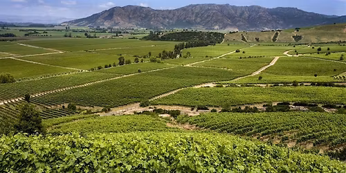 Wine Tasting: Comparing Climates