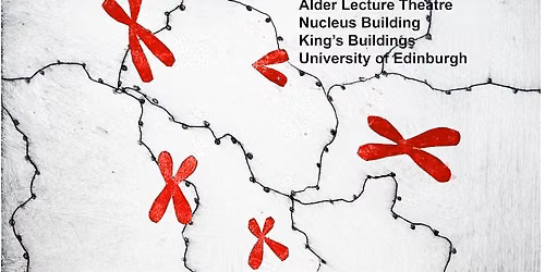 From Chromatin to Phenotype: A Bird\u2019s Eye View