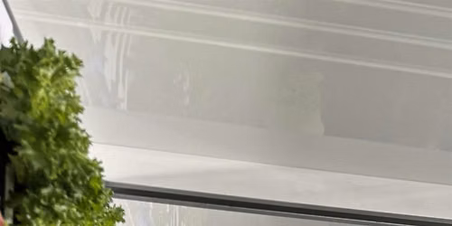 Building Bridges Garden Club: Hydroponic Growing