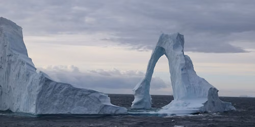 Nordlys, isbj\u00f8rne, enorme isbjerge og masser af pingviner v. Rajan Kunz Sakaria