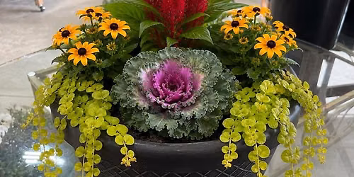 Fall Harvest Potting Class - 1 pm