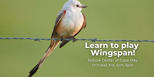 Learn to play Wingspan!