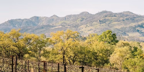 An Evening With Hourglass Wines