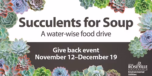 Succulents for soup: a water-wise food drive