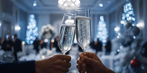 The Sparkling Holiday Ball