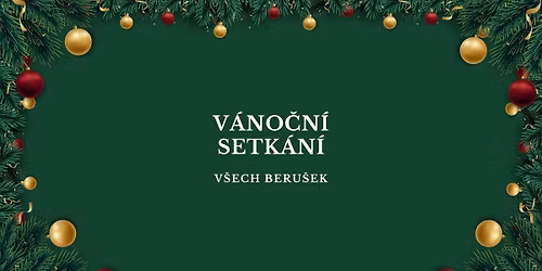 V\u00e1no\u010dn\u00ed setk\u00e1n\u00ed beru\u0161ek