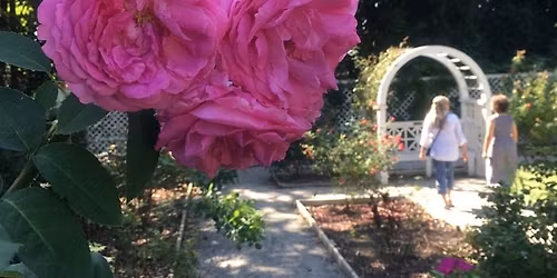 Spring Flowers Walk